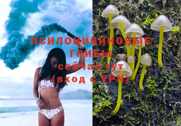 дживик Липки