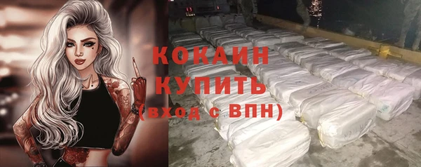 дживик Липки
